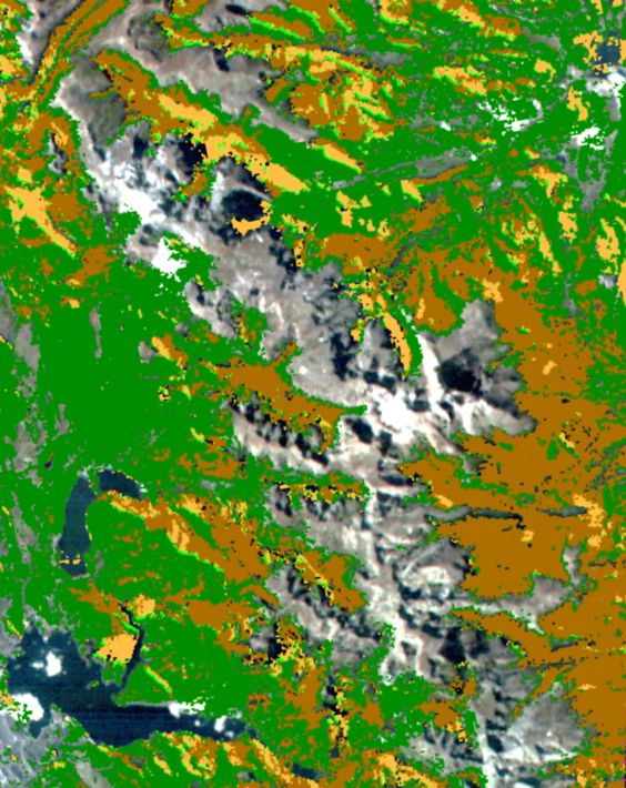 I7_Usecase_forest health monitoring